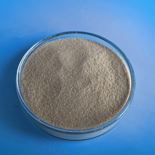 Pectin CAS 9000-69-5